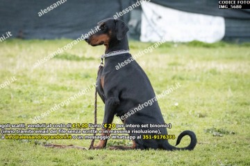 IMG_5680.jpg