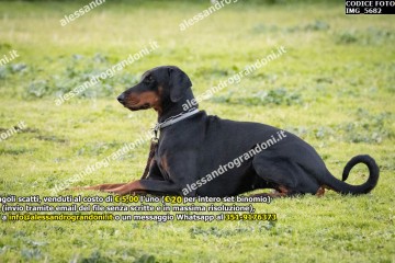 IMG_5682.jpg