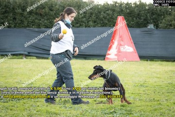IMG_5685.jpg