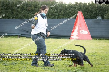 IMG_5686.jpg