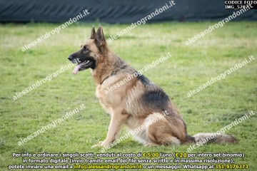 IMG_5707.jpg
