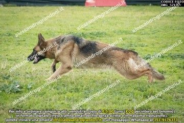 IMG_5711.jpg
