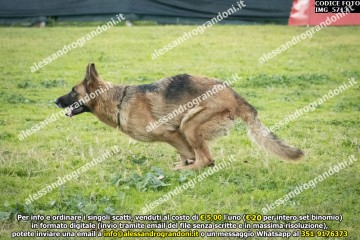 IMG_5713.jpg
