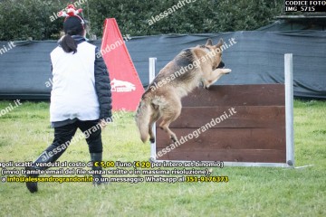 IMG_5715.jpg