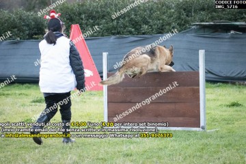 IMG_5716.jpg