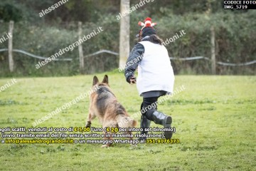 IMG_5719.jpg