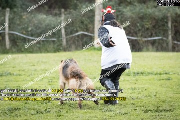 IMG_5720.jpg