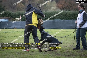 IMG_5727.jpg