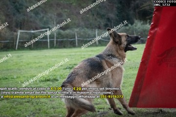 IMG_5732.jpg