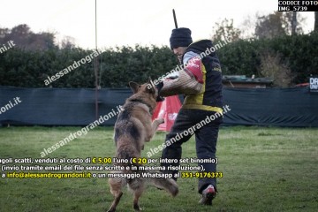 IMG_5739.jpg