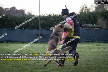 IMG_5740.jpg