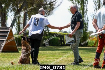 IMG_0781.jpg