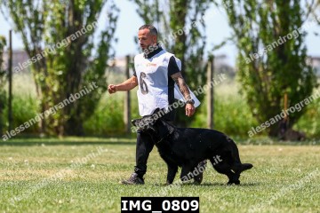 IMG_0809.jpg
