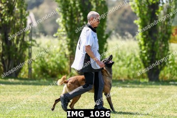 IMG_1036.jpg