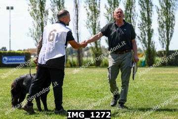 IMG_1272.jpg