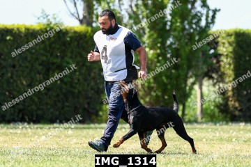 IMG_1314.jpg