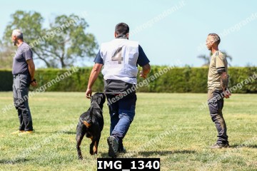IMG_1340.jpg
