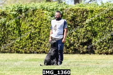 IMG_1360.jpg