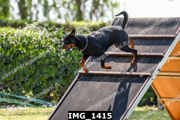 IMG_1415.jpg