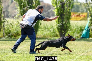 IMG_1438.jpg