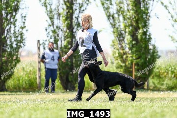 IMG_1493.jpg