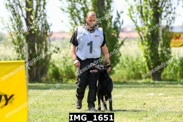 IMG_1651.jpg