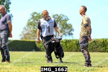 IMG_1662.jpg