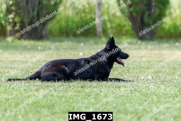 IMG_1673.jpg
