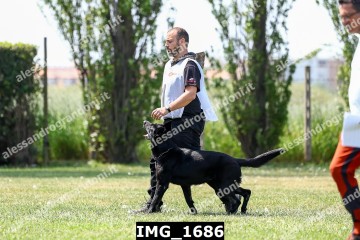 IMG_1686.jpg