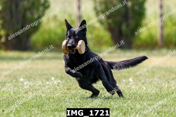IMG_1721.jpg