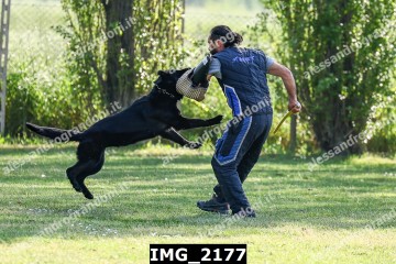 IMG_2177.jpg