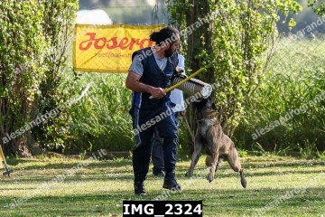 IMG_2324.jpg