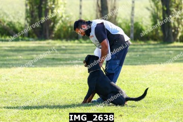 IMG_2638.jpg