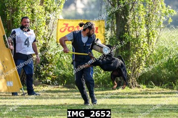 IMG_2652.jpg