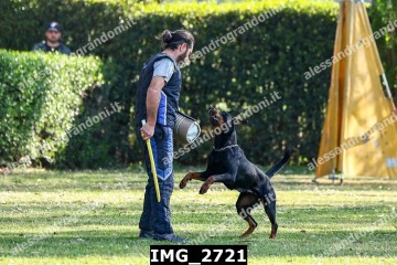 IMG_2721.jpg