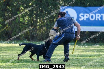IMG_2943.jpg
