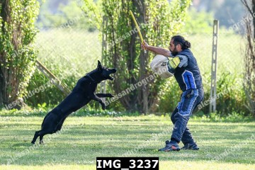IMG_3237.jpg