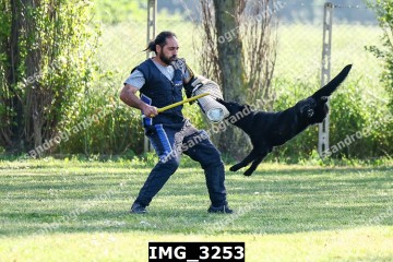 IMG_3253.jpg