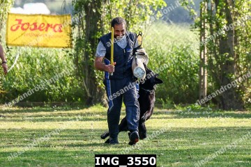 IMG_3550.jpg