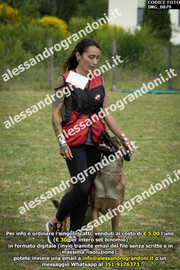 IMG_0879.jpg
