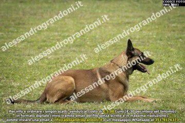 IMG_0881.jpg