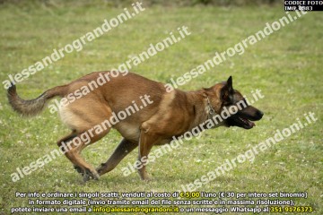 IMG_0883.jpg