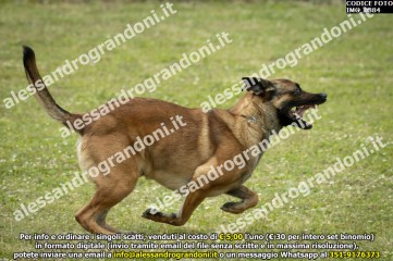 IMG_0884.jpg