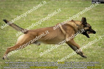 IMG_0885.jpg
