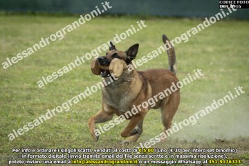 IMG_0916.jpg