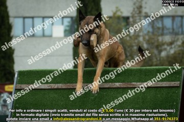 IMG_0926.jpg