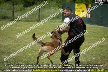 IMG_1194.jpg