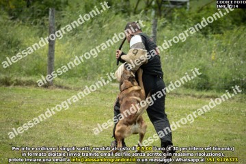 IMG_1214.jpg