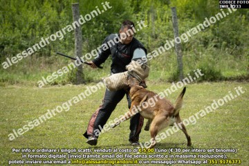 IMG_1233.jpg