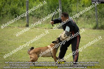 IMG_1257.jpg